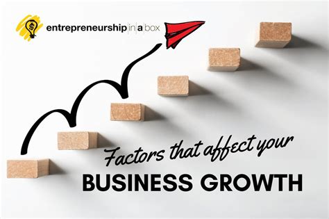 Factors That Affect Your Business Growth Entrepreneurship In A Box