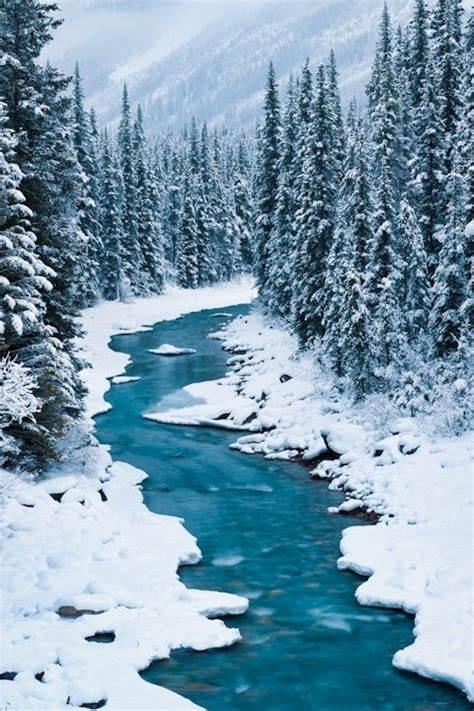 Saskatchewan River Banff National Park Alberta Canada Winter