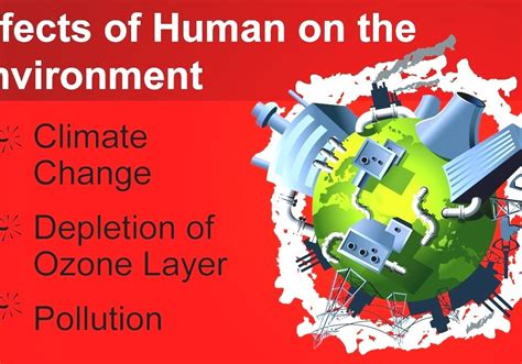 Human Impact On The Environment Human Effects On The Environment