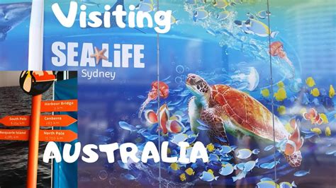 Sealife Aquarium Sydney Ii Malayalam Vlog Youtube