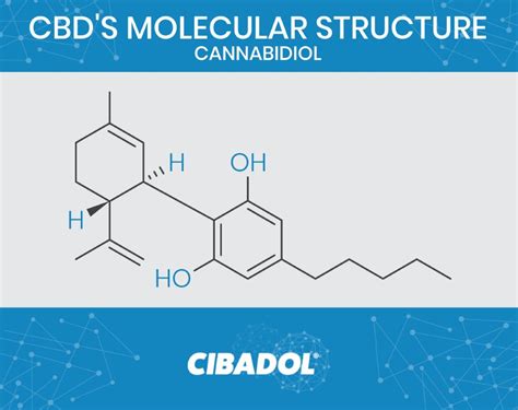 what is cbd oil and what is it used for cibadol