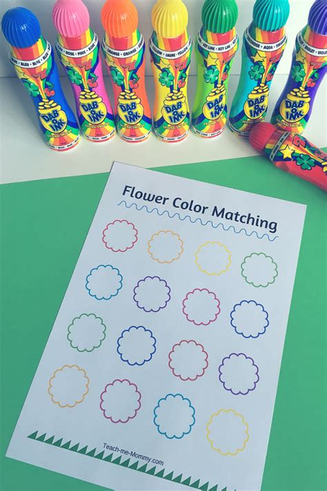 Flower Color Matching Teach Me Mommy