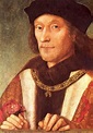 Henry VII by Wendy J. Dunn