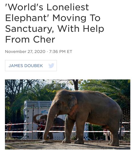 World Loneliest Elephant Moving To Sanctuary With Help From Cher R