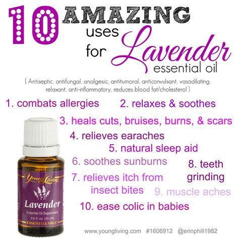 Kebaikan Lavender Young Living Young Living Peppermint And Lavender