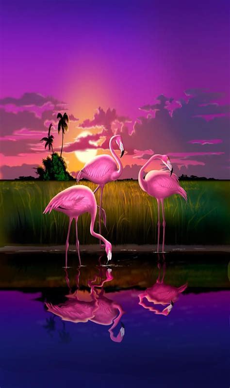 Flamingos Flamingo Pictures Flamingo Wallpaper Flamingo Painting