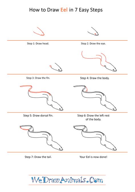 How To Draw A Realistic Eel