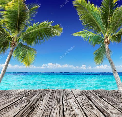 Tropical Seascape With Wooden Plank And Palm Trees On The Turquoise
