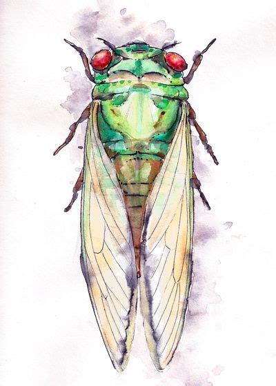Cicada Art Print By Kunst Der Kuh Society Cicada Art Cicada Insect Art
