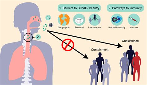 Covid 19 And Emerging Viral Diseases The Journey From Animals To