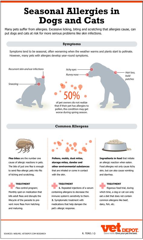 Ringworm In Dogs Causes Signs Treatment Artofit