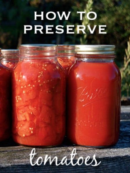 How do you freeze garden tomatoes. Top 8 Most Popular Ways to Preserve Tomatoes for Winter ...