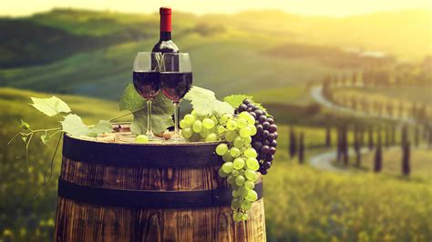 Cuvée Privée launches 'adopt a vine' so British wine ...