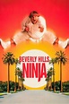 Beverly Hills Ninja (1997) — The Movie Database (TMDB)