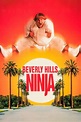 Beverly Hills Ninja (1997) — The Movie Database (TMDB)