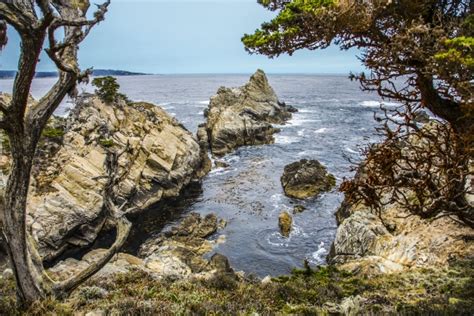 Cyprus Cove Trail At Point Lobos Big Sur Coast In Royalty Free Image