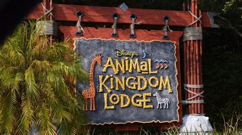 3 Animal Kingdom Lodge Restaurant Tours Disney Dining