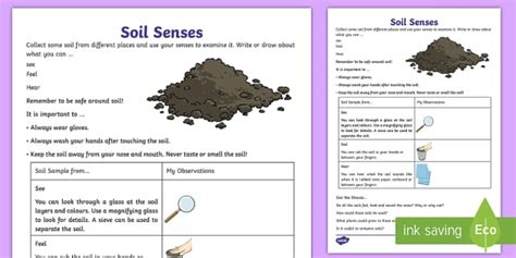 Soil Senses Worksheet Teacher Made Twinkl