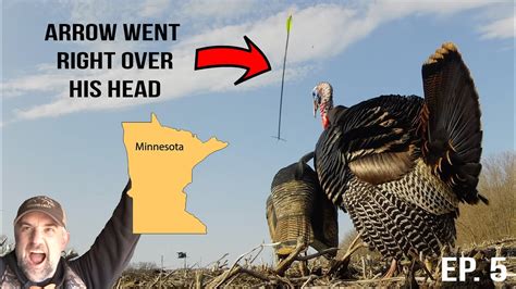 Gobbler Loses His Head Picture Perfect Hunt In Minnesota Spring