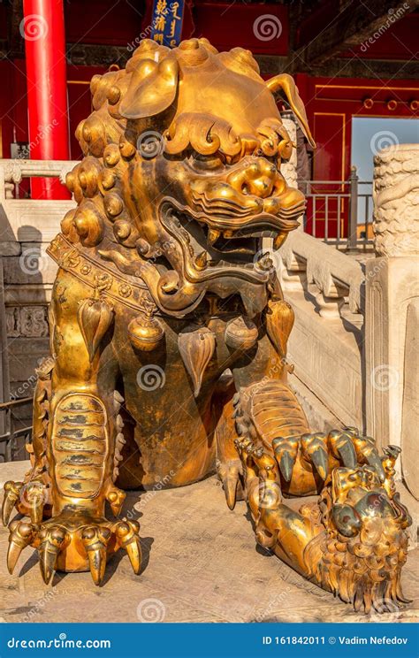 Golden Chinese Guardian Lion Or Shishi Statue From Ming Dynasty Era At