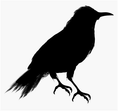 Crow Clip Art Vector Graphics Silhouette Image Crow Clipart