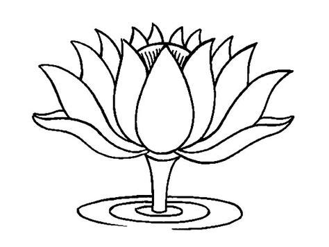 Tips cara pemeliharaan bunga lotus yang maka dari itu lotus kerap ditanam dengan media tempayan maupun kolam air. Mewarnai Kolam Bunga Teratai - Gambar Bunga Untuk Mewarnai ...