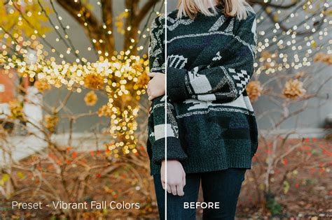 Warm pastel tones will give your photo a mysterious look, everyone will this free lightroom preset darkens the edges, making the center of the picture brighter. Exposure Empire Autumn Lightroom Presets Vol. 2 - FilterGrade