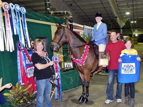 Merriewold Diplomat And Nicolette Geddeis World Champions