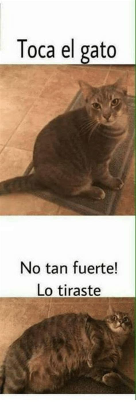 toca el gato no tan fuerte lo tiraste meme on me me