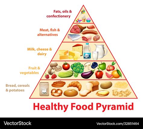 Healthy Food Pyramid Chart Royalty Free Vector Image Porn Sex Picture