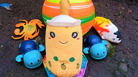 Mencari Mainan Boneka Boba Ikan Mainan Kura Kura Bola Popit