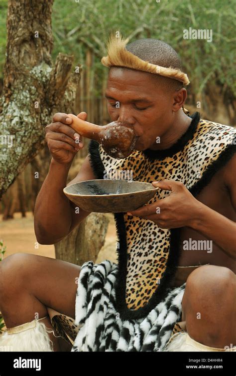 Zulu Man Drinking Sorghum Traditional Beer Using Gourd Shaka Land Stock