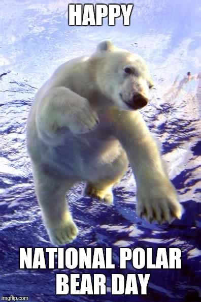 Image Tagged In Polar Bear Imgflip