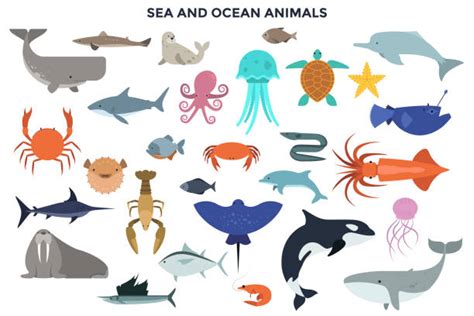 Oceanarium Ocean Animals And Fishes With Names Stock Illustration By