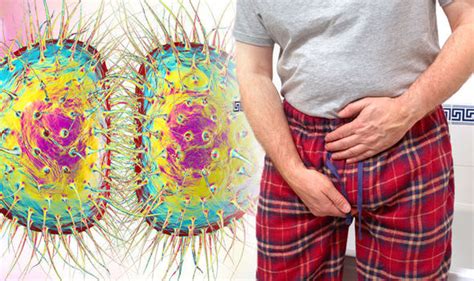 Gonorrhoea Symptoms Four Signs You Could Have The Sexually Transmitted