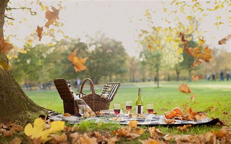 The Best Luxury Picnic Hampers In London Magazine