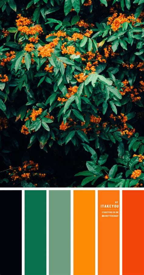 black green and orange color scheme color palette 32 i take you wedding readings wedding