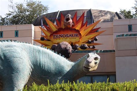 10 Misconceptions People Get Totally Wrong About Disneys Animal Kingdom