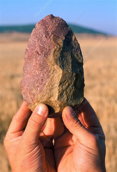 Stone Tool Sima De Los Huesos Stock Image E4360125 Science
