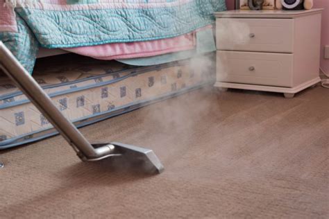 For A Healthy Home The Importance Of Having Clean Carpets Home