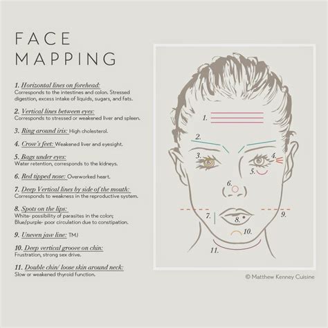 Chinese Traditional Medicine Tmc Face Mapping From Celebrity Raw And