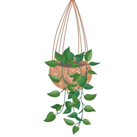 Free Hanging Plant Growing In Pots 17786280 Png With Transparent Background