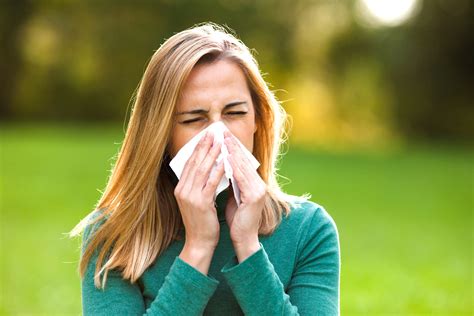 Alergia La Ambrozia De Ce Apare Si Cum O Putem Trata Eficient Blogul