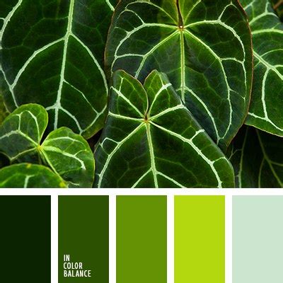 Теплые оттенки зеленого цвета: Оттенки зеленого. Таблица цветов | LOOKCOLOR — Сеть обувных ...