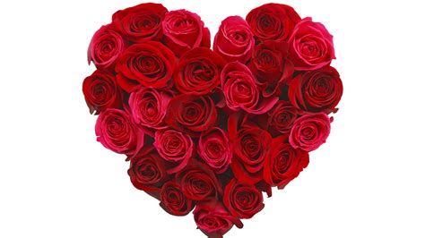 Stock Images Love Image Heart 5k Rose Flowers Stock Images 14776