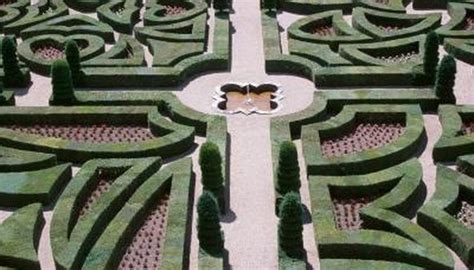 How To Build A Hedge Maze Garden Guides