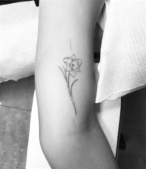 Daffodil Tattoo Daffodil Tattoo Narcissus Flower Tattoos Narcissus