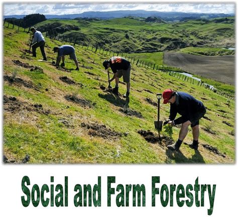 Social And Farm Forestry Icar Ecourse Pdf Books Free Download