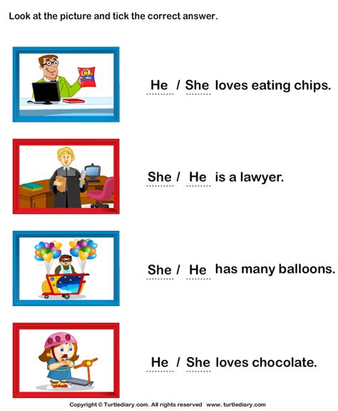Explaining how to use pronouns he, she or it in sentences. Identify She or He Worksheet - Turtle Diary