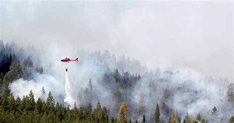 The Arctic Is Burning Wildfires Rage From Sweden To Alaska Ecowatch